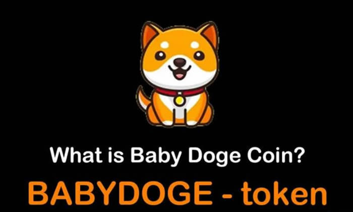 babydoge币未来潜力怎么样，一文详解宝贝狗babydoge币会迎来暴涨吗？